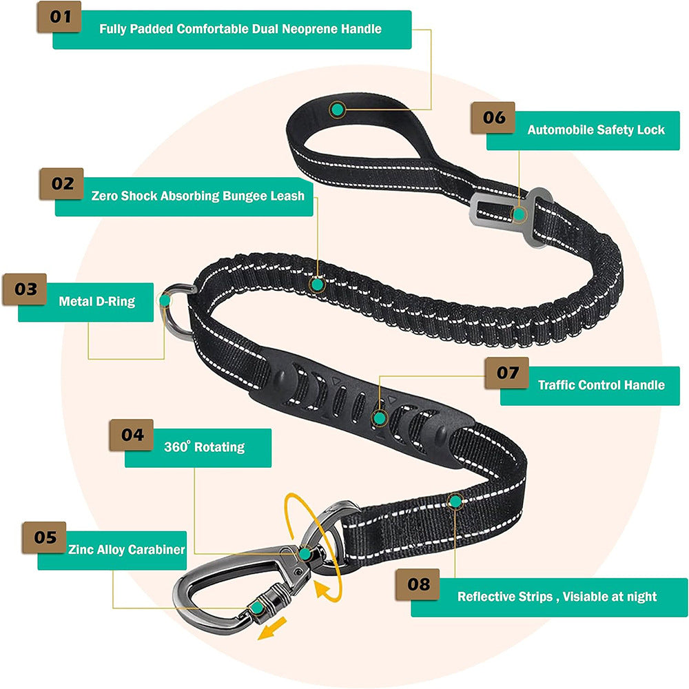 Big Dog Bungee Walking Lead